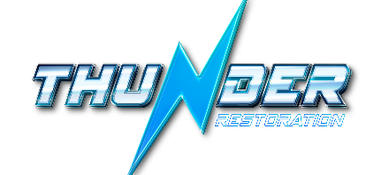 Thunder Restoration — South Florida Mold Remediation