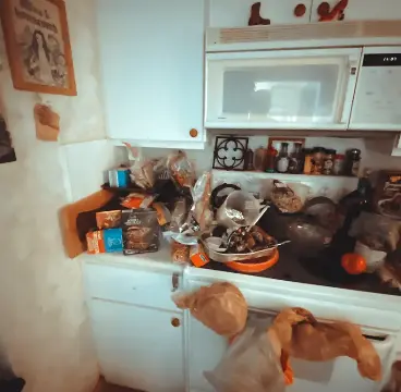 Hoarding Cleanup Process