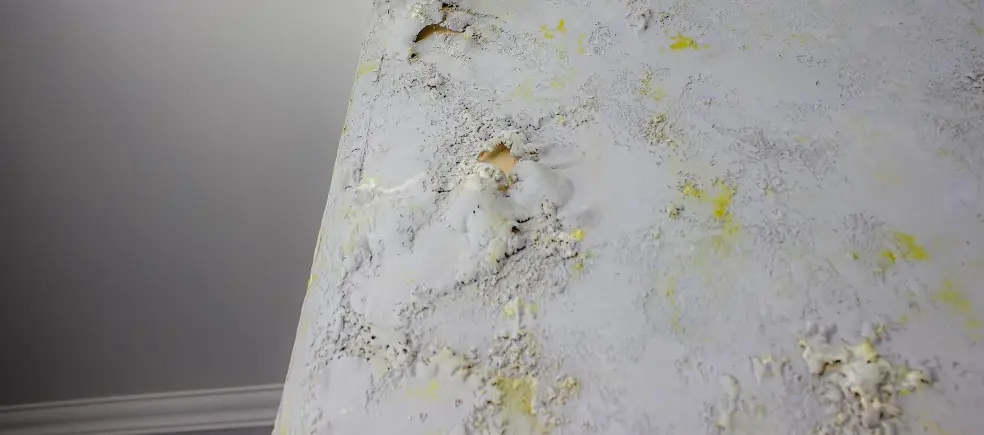 Mold Damage Restoration