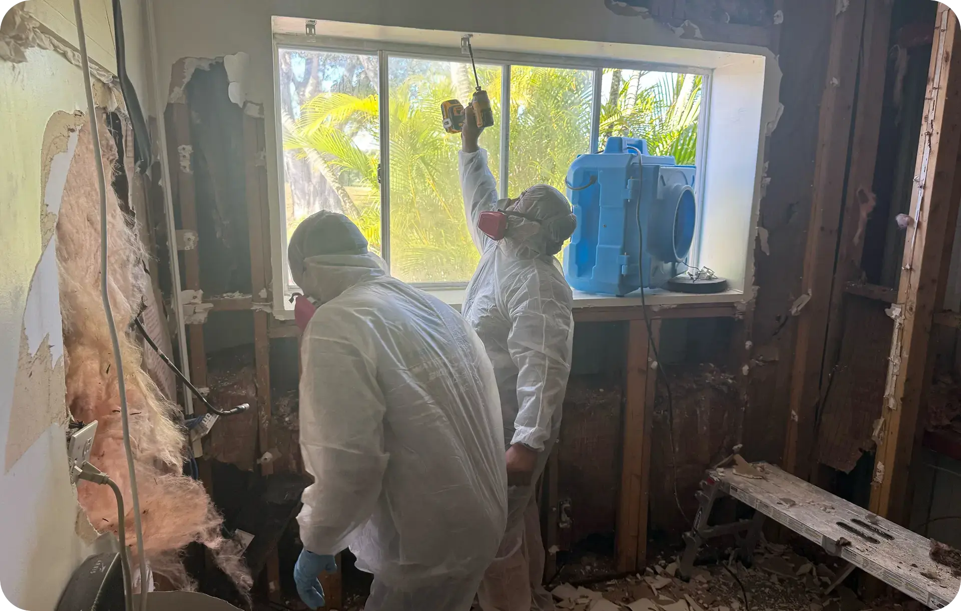 Active mold remediation in progress